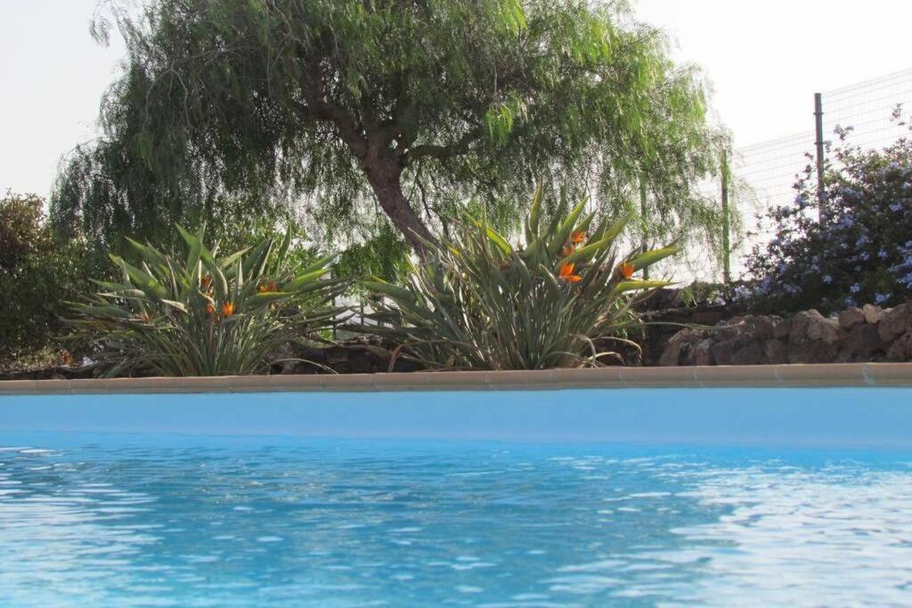 Heated & Shared Pool Villa Matriana 36B, North Shore Villas La Oliva Kültér fotó